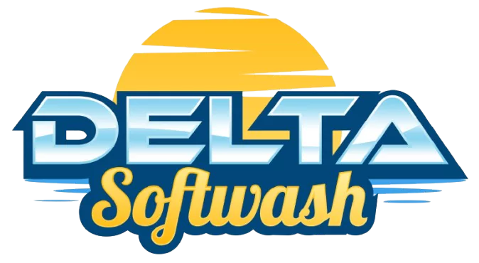 delta softwash 1 removebg preview 678e9f4a9dd3e