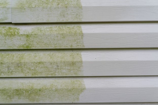 green mold on siding